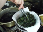 DSCN1510-.jpg