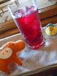 DSCN1513-.jpg
